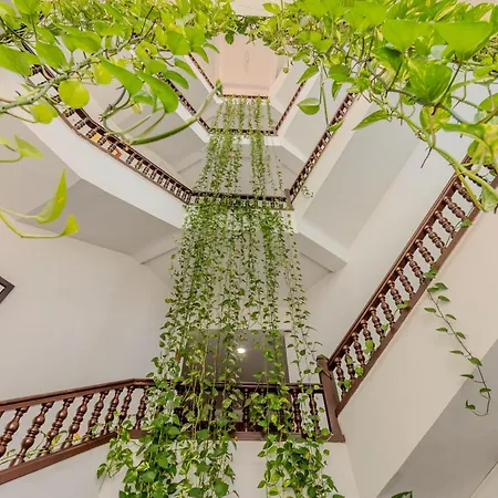 Hotel Dorado Plaza Centro Histórico