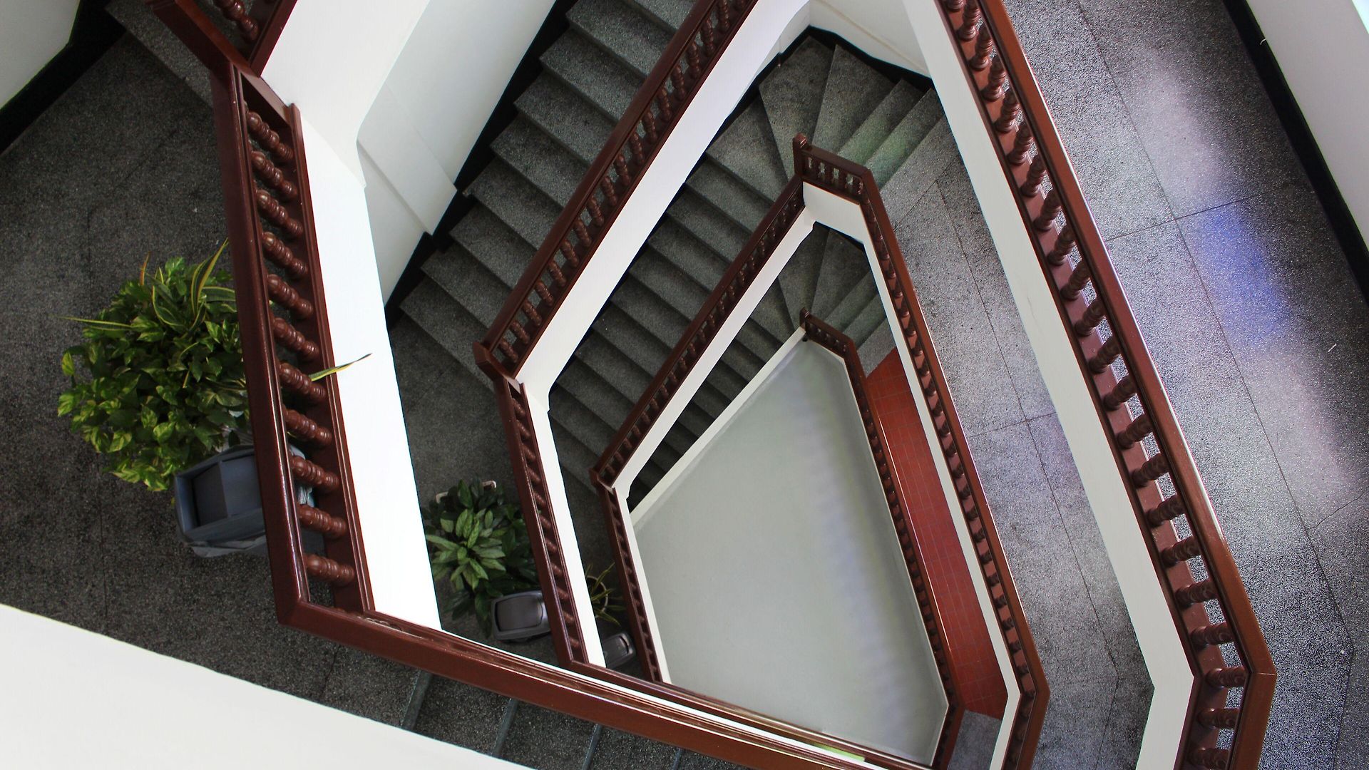 Dorado Plaza Centro Historico Hotel 3*