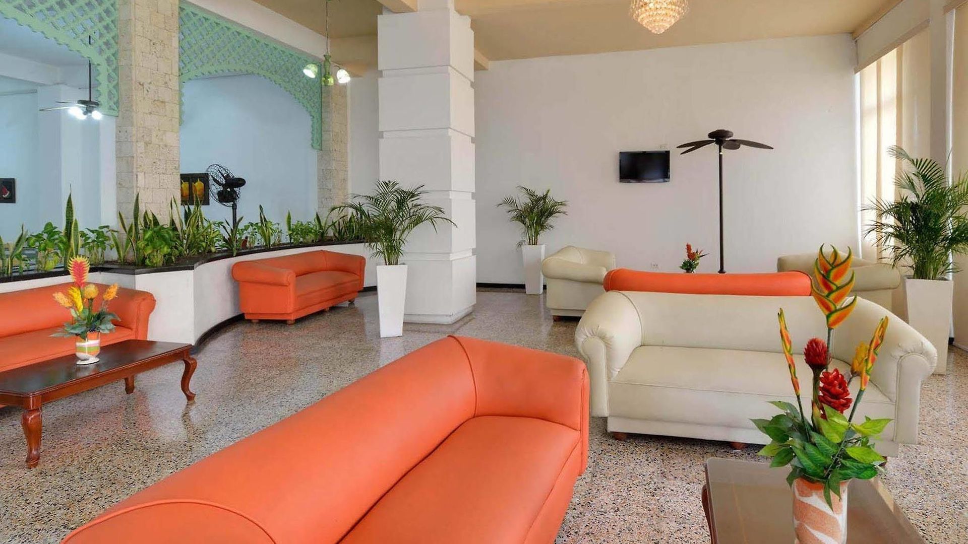 Hotel Dorado Plaza Centro Historico 3*