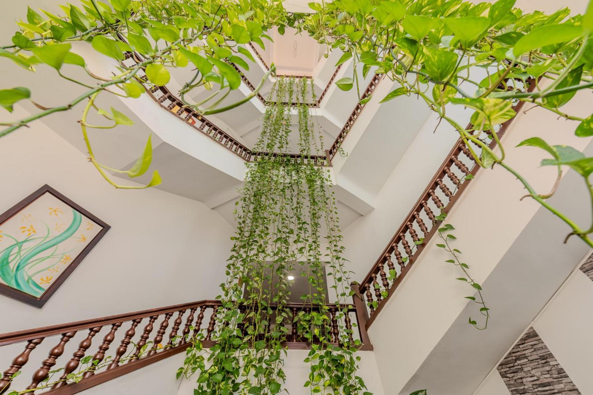 Hotel Dorado Plaza Centro Histórico